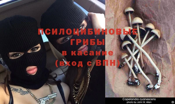 мдпв Лабытнанги