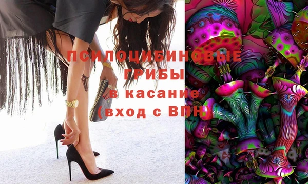 мдпв Лабытнанги